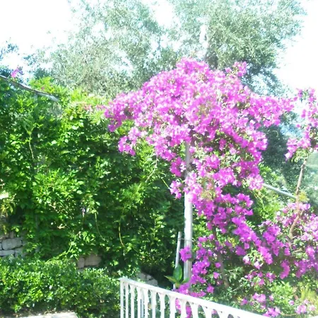 Aliki Agios Stefanos Kassiopi